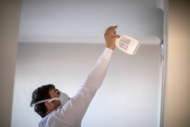 Reliable Philadelphia, PA Mold Removal Solutions